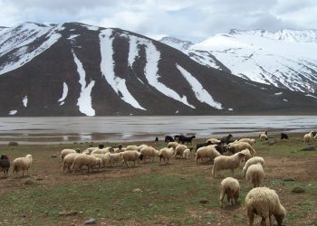 Conservation des espaces naturels : l’exemple marocain