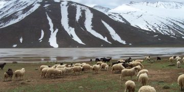 Conservation des espaces naturels : l’exemple marocain