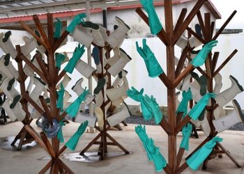 Qu’est-ce que le virus de Marburg, qui a été détecté en Guinée ?