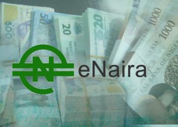 Le Nigéria, premier pays africain à lancer sa cryptomonnaie