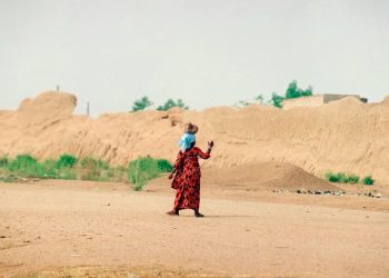 Grande muraille verte au Sahel : les défis de la prochaine décennie