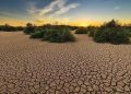 Le réchauffement climatique menace 100 millions d’Africains