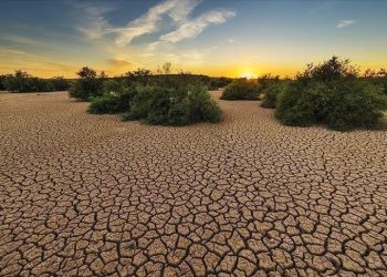 Le réchauffement climatique menace 100 millions d’Africains
