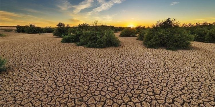 Le réchauffement climatique menace 100 millions d’Africains