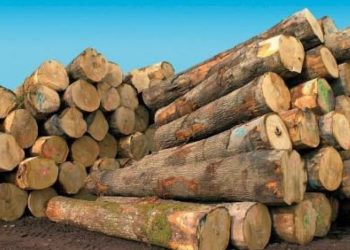 COP26 : la RDC prend des mesures contre la déforestation