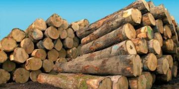 COP26 : la RDC prend des mesures contre la déforestation