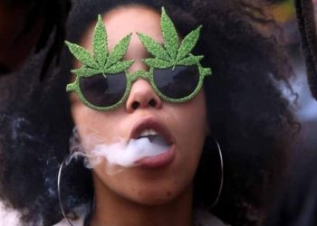 L’Afrique peut-elle se frayer un chemin dans l’industrie du cannabis ?
