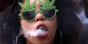 L’Afrique peut-elle se frayer un chemin dans l’industrie du cannabis ?