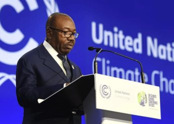 Au Gabon, le « greenwashing » d’Ali Bongo Ondimba