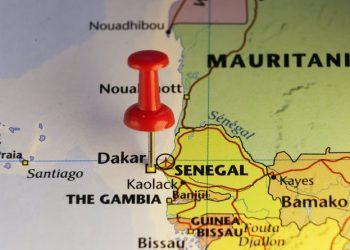 L’archéologie de l’Afrique de l’Ouest pourrait écrire autrement les manuels sur l’évolution humaine