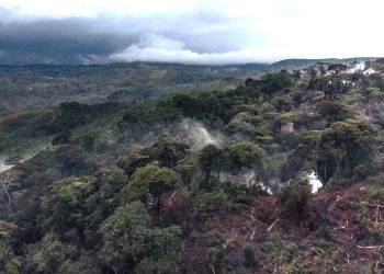 RDC : comment les atteintes à la biodiversité affectent les habitudes alimentaires