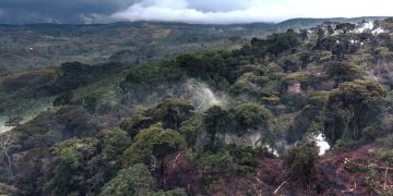 RDC : comment les atteintes à la biodiversité affectent les habitudes alimentaires