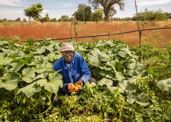 Au Sénégal, la grande caravane de l’agroécologie reprend la route !