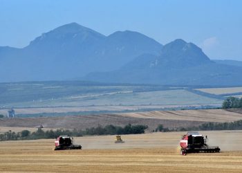 Comment le conflit Russie-Ukraine pourrait influer sur l’approvisionnement alimentaire de l’Afrique