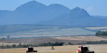 Comment le conflit Russie-Ukraine pourrait influer sur l’approvisionnement alimentaire de l’Afrique