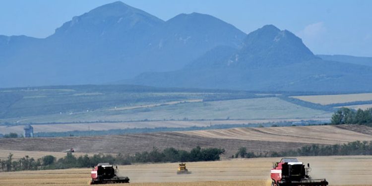 Comment le conflit Russie-Ukraine pourrait influer sur l’approvisionnement alimentaire de l’Afrique