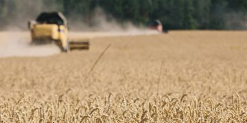 L’Inde, la solution à la pénurie de céréales en Afrique ?