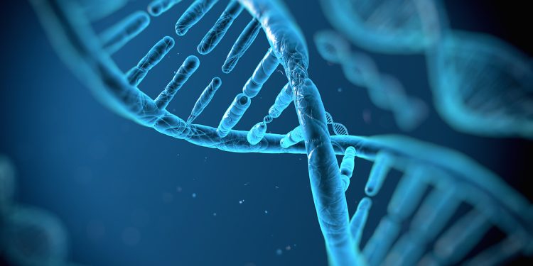 Des traumatismes génétiquement transmis aux descendants d’esclaves ?