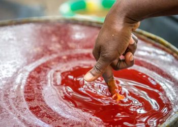 L’or rouge : l’ascension et la chute de l’empire de l’huile de palme en Afrique de l’Ouest