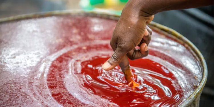 L’or rouge : l’ascension et la chute de l’empire de l’huile de palme en Afrique de l’Ouest