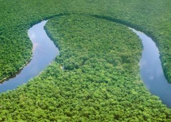 La littérature du Bassin du Congo offre des pistes pour faire face à la crise climatique