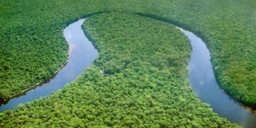 La littérature du Bassin du Congo offre des pistes pour faire face à la crise climatique