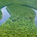 La littérature du Bassin du Congo offre des pistes pour faire face à la crise climatique
