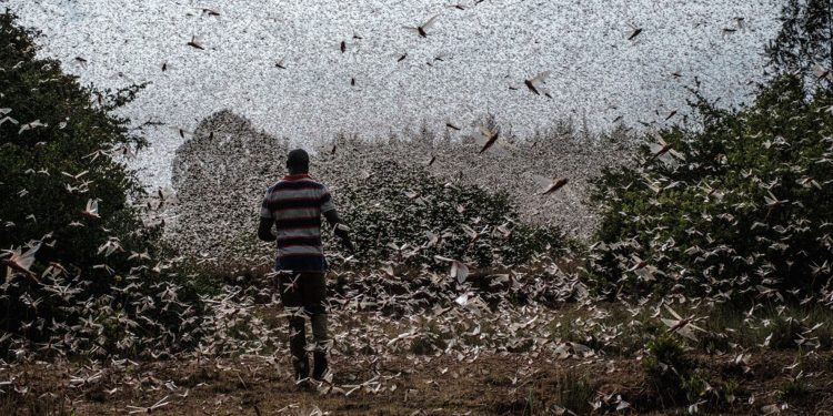 Les réglementations commerciales, un levier de croissance durable dans le Sud