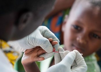 Comment le Togo a réussi à éradiquer quatre maladies tropicales négligées