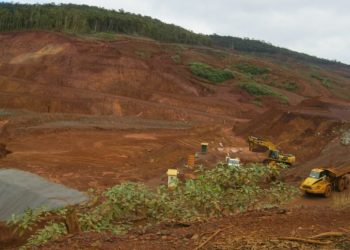 Les droits des autochtones piétinés dans un projet minier au sud du Cameroun