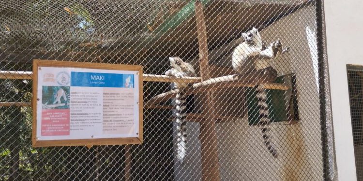 Madagascar : une épidémie de tuberculose endeuille le parc d’Antananarivo