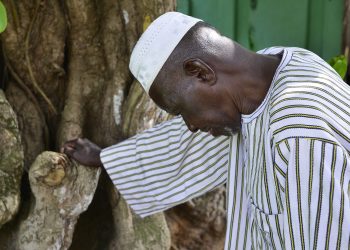 « L’homme qui arrêta le désert », une inspiration pour habiter autrement la Terre