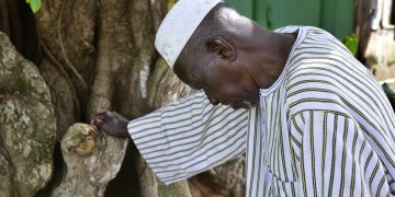 « L’homme qui arrêta le désert », une inspiration pour habiter autrement la Terre