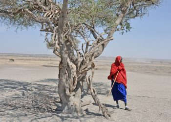 Sécheresses en Afrique et réchauffement climatique : attention aux raccourcis !