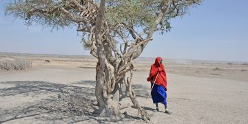 Sécheresses en Afrique et réchauffement climatique : attention aux raccourcis !