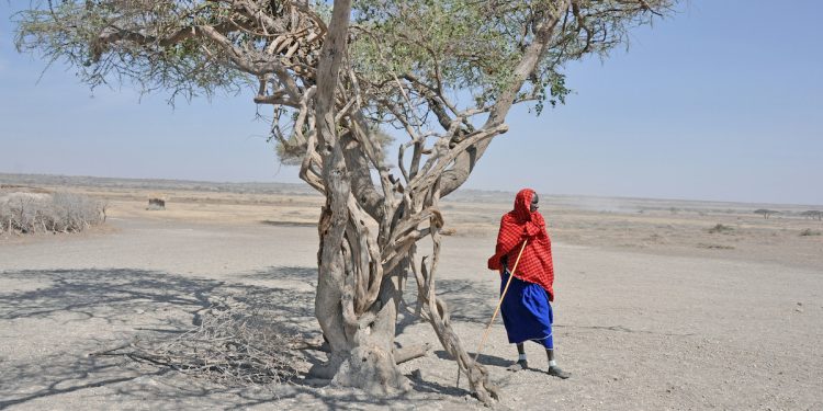 Sécheresses en Afrique et réchauffement climatique : attention aux raccourcis !