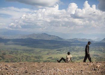 L’exploitation minière et le conflit armé menacent la biodiversité de l’est de la RDC