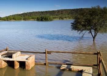 Combien d’Africains pourraient être touchés par la montée des eaux ?