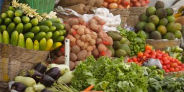 Afrique : faut-il viser l’autonomie alimentaire ?