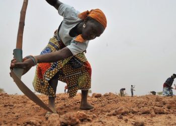 Niger : comment nourrir 25 millions de personnes supplémentaires dans 30 ans ?