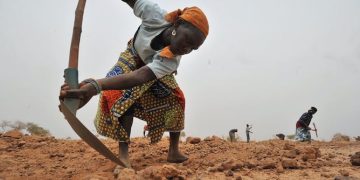 Niger : comment nourrir 25 millions de personnes supplémentaires dans 30 ans ?