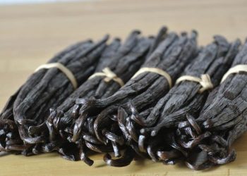 À Madagascar, de quel mal souffre la filière de la vanille ?