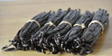 À Madagascar, de quel mal souffre la filière de la vanille ?