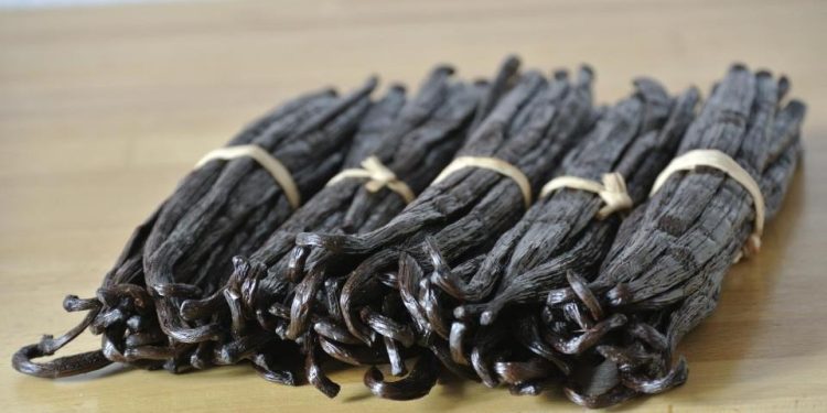 À Madagascar, de quel mal souffre la filière de la vanille ?