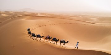 Le désert du Sahara était jadis une savane verdoyante
