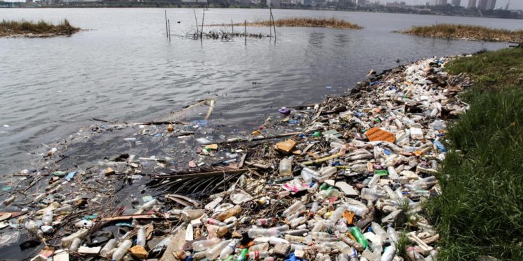 Côte d’Ivoire : la baie de Bietry asphyxiée