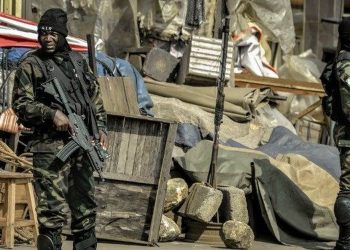 Les rebelles camerounais menacent-ils la stabilité de l’Etat ?