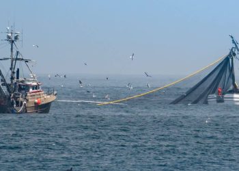 La technologie au secours de la lutte contre la piraterie et la pêche illégale