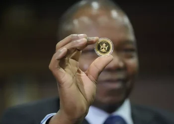 Le Zimbabwe lance le “ZiG” pour lutter contre l’hyperinflation