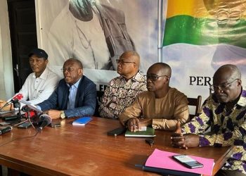 Controverse autour de la nouvelle Constitution au Togo